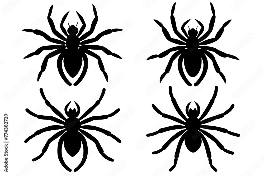 spider vector illustration