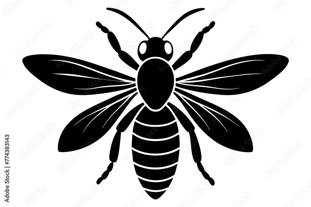 wasp vector illustration