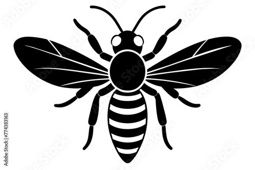 wasp vector illustration