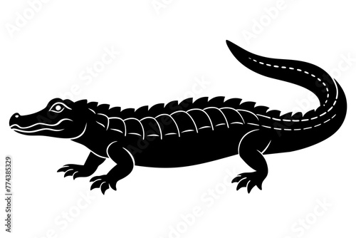  alligator vector illustration