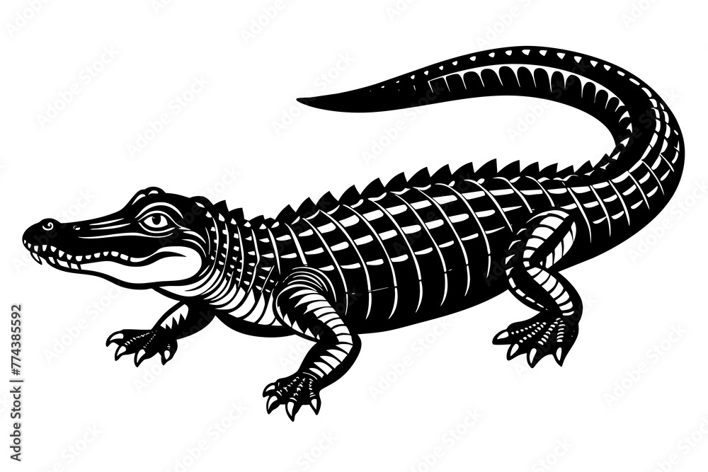 Fototapeta premium alligator vector illustration