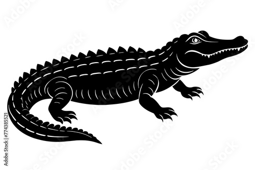  alligator vector illustration