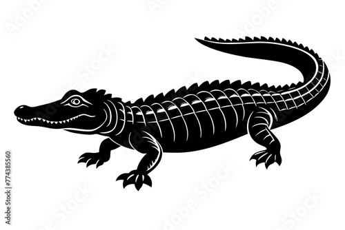  alligator vector illustration © MDSHIJU