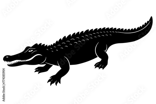 crocodile vector illustration © MDSHIJU
