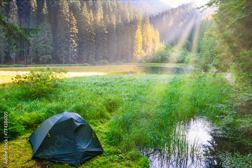 Green tent near forest lake in the mountains with blue water and morning light © Pavlo Vakhrushev