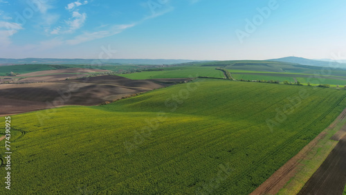 Green wavy hills with agricultural fields © Kokhanchikov