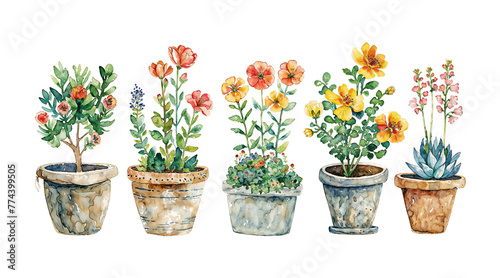 A diverse group of potted plants, including succulents and flowers, sit closely together in a harmonious arrangement
