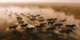 Aerial Perspective: Herd of Horses Galloping Across Dusty Steppe Field. Concept Animals, Wildlife, Nature, Landscape, Aerial View