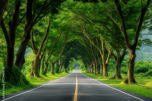 An empty road surrounded by trees and grass