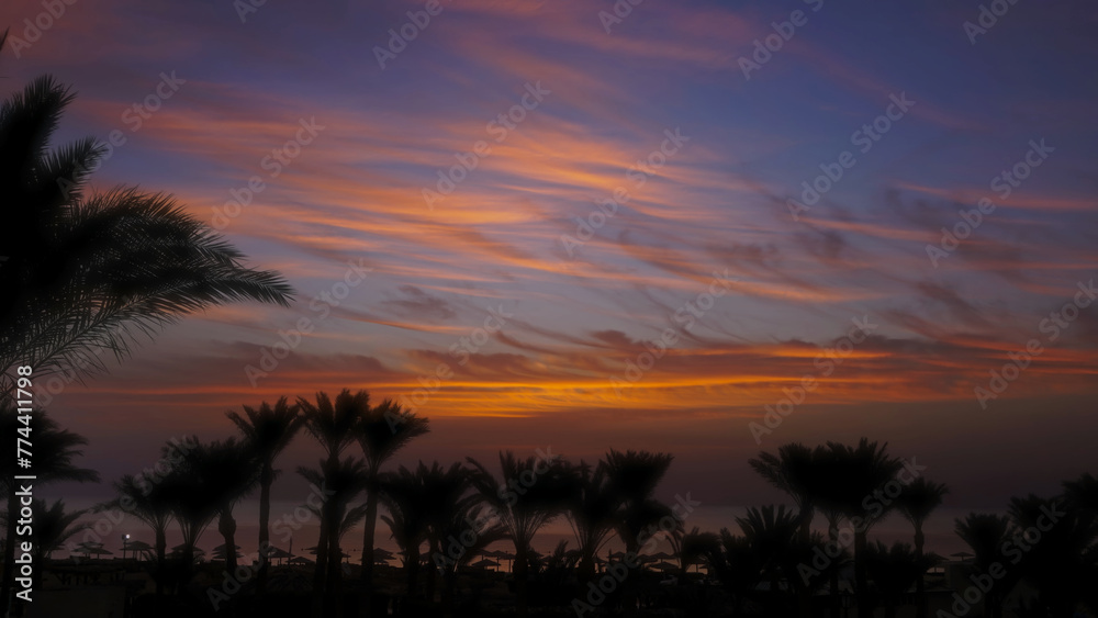 Fototapeta premium Palms on resort beach and sunrise over sea