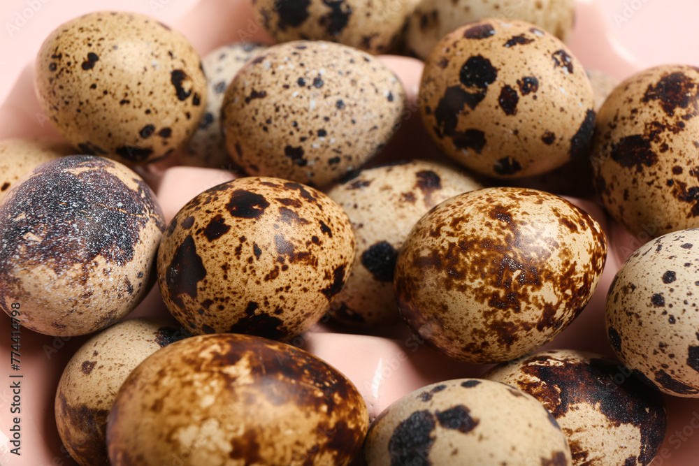 Holder with fresh quail eggs on pink background, closeup Holder with fresh quail eggs on pink background, closeup