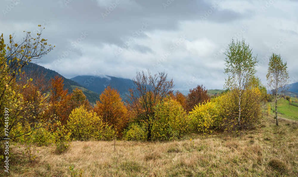 Cloudy and foggy day autumn mountains scene. Peaceful picturesque traveling, seasonal, nature and countryside beauty concept scene. Carpathian Mountains, Ukraine. Cloudy and foggy day autumn mountains scene. Peaceful picturesque traveling, seasonal, nature and countryside beauty concept scene. Carpathian Mountains, Ukraine.