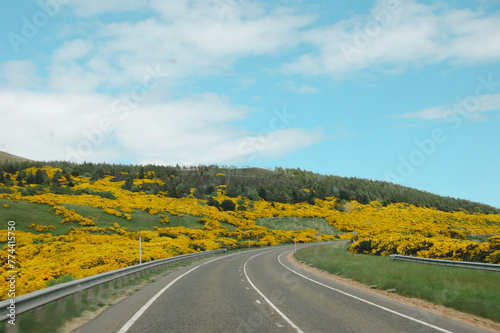 road in the countryside