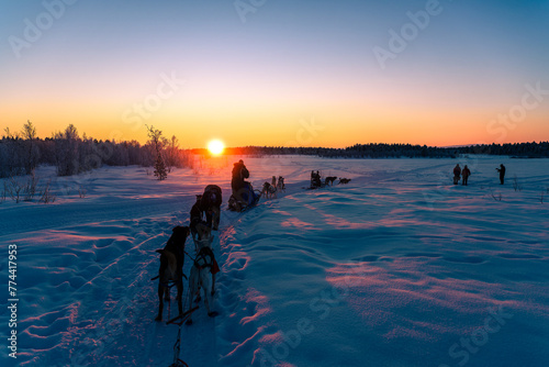 Excursion en traîneau tirés par des chiens au soleil couchant en Laponie en Suède photo