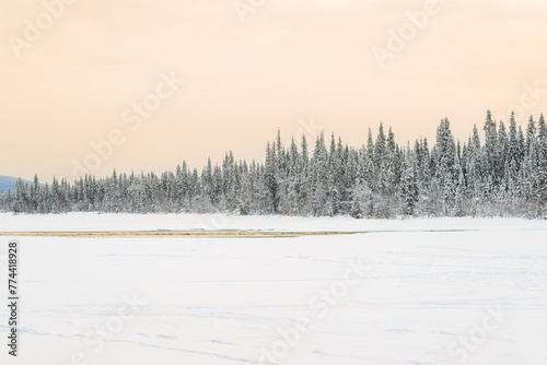 Rivi  re gel  e au milieu d une   tendue de neige et devant une for  t  en Laponie en Su  de