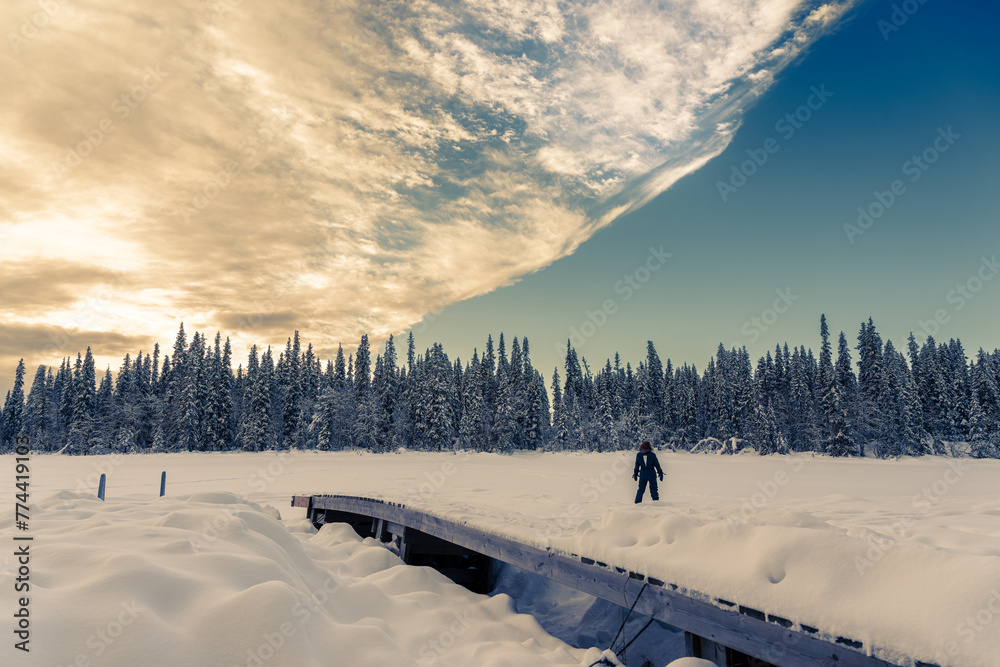 Jeune femme devant une forêt et une étendue de neige au lever du soleil en Laponie en Suède - obrazy, fototapety, plakaty 