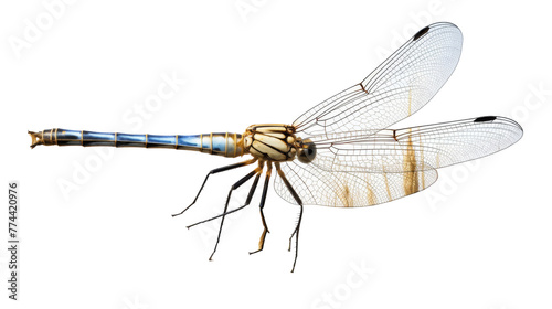 A delicate dragonfly perched gracefully on a stark white surface