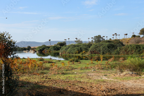 Stork Wetland in Caceres, Extremadura Region, Spain photo