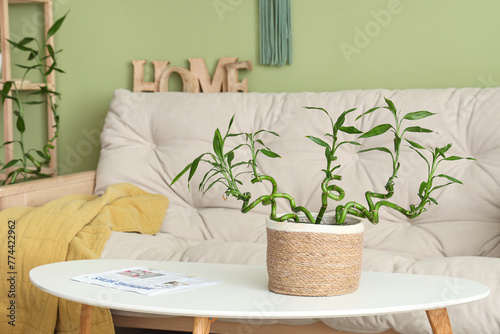 Stylish interior of green l...