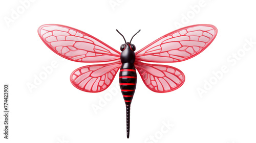 A red and black insect with a striking black stripe on its wings