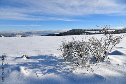 Winter in der schönen Rhön © Rhönbergfoto