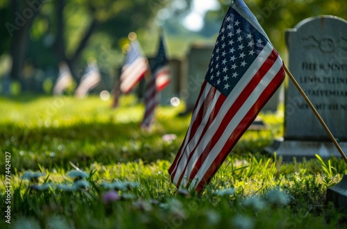 Early morning light filters through trees onto American flags placed by headstones in a veterans cemetery.