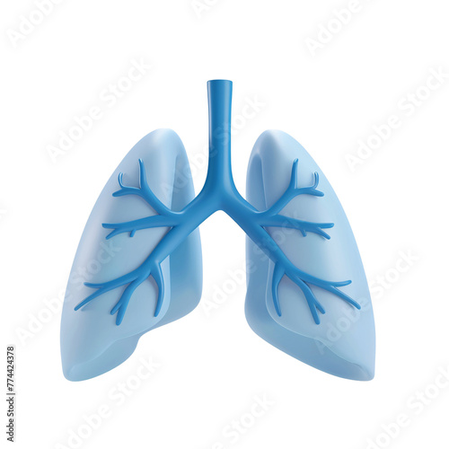 3d illustration of stylized human lungs isolated on transparent background . Inspired by 3d design trends photo