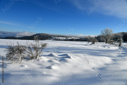 Winter in der schönen Rhön © Rhönbergfoto