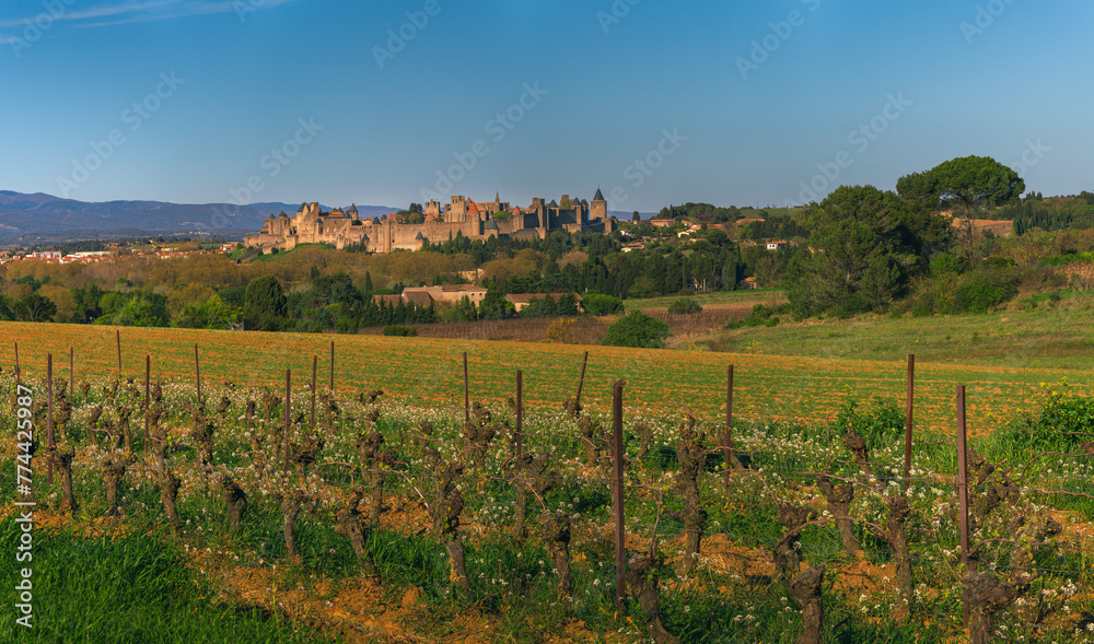 Carcassonne Citadel 