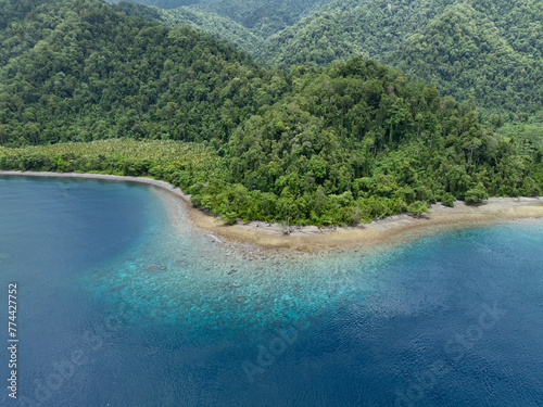 A coral reef fringes the coastline of southern Batanta, Raja Ampat. This region is known as the heart of the Coral Triangle due to the high marine biodiversity found there.