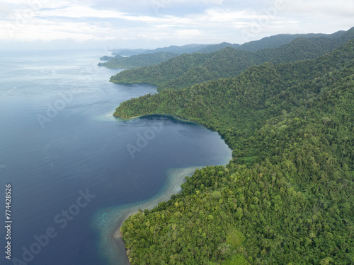 Thick rainforest covers the scenic coast of southern Batanta, Raja Ampat. This region is known as the heart of the Coral Triangle due to the high marine biodiversity found there.