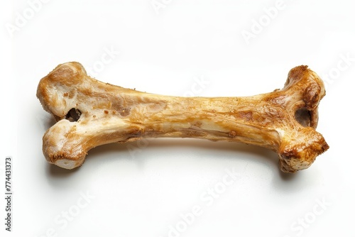 Single dog bone on white background