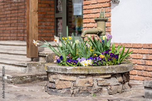 various colourful spring flowers decoration in an old well.