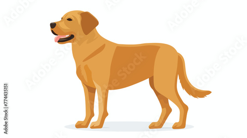 Illustration of a dog with a rectangular callout on