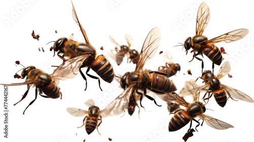 A group of bees gracefully flying through the air in perfect harmony