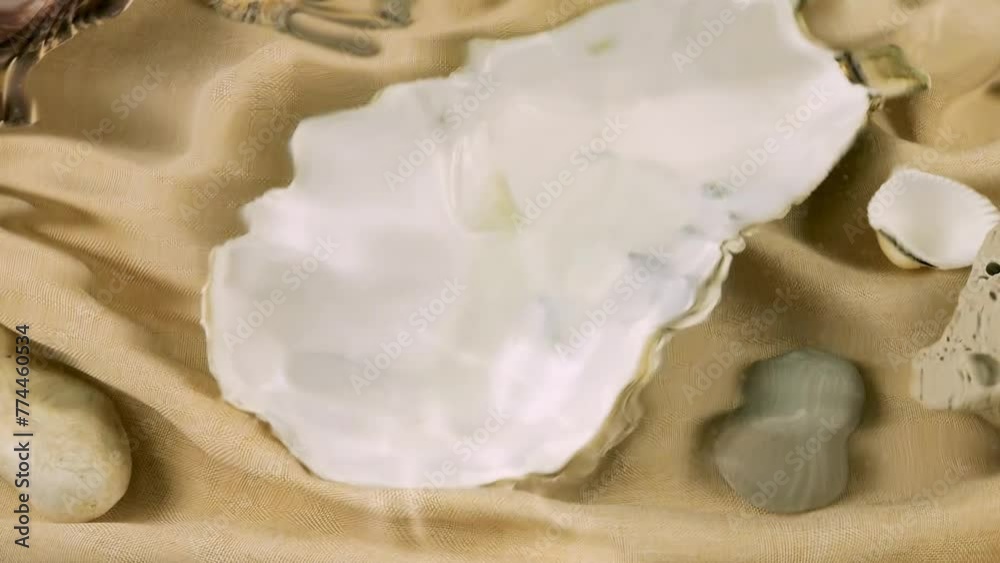 Imitation of the seabed. Oyster and scallop shells, sea pebbles on sand-colored fabric underwater. Ripples on the surface of clear water. Imitation of the seabed. Oyster and scallop shells, sea pebbles on sand-colored fabric underwater. Ripples on the surface of clear water.