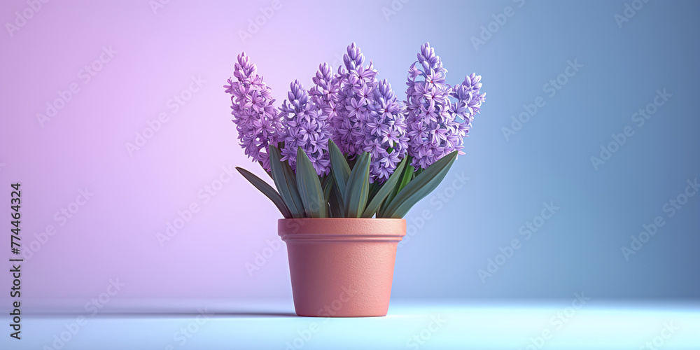Purple hyacinths in a flower pot on a light background