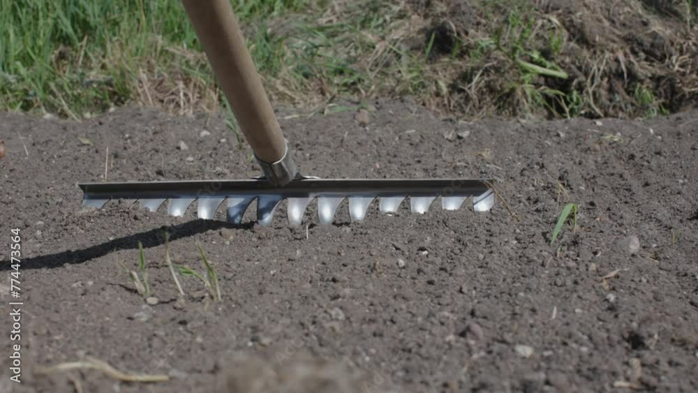 Rakes leveling ground in garden for planting plants new life. Rake working in garden leveling