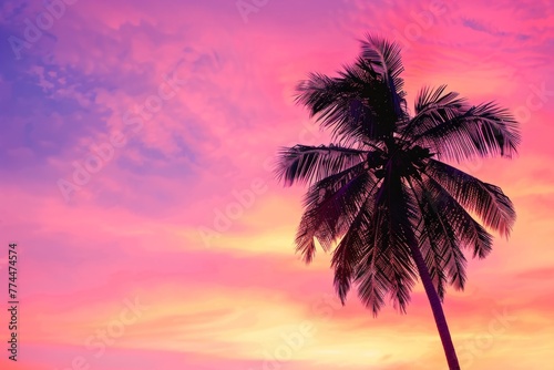 A vibrant pink and orange sunset sky with a palm tree silhouette creates an exotic tropical background for travel and vacation advertising Generative AI © SKIMP Art