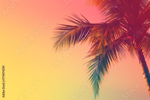 Beautiful palm tree against sunset sky background with copy space Generative AI