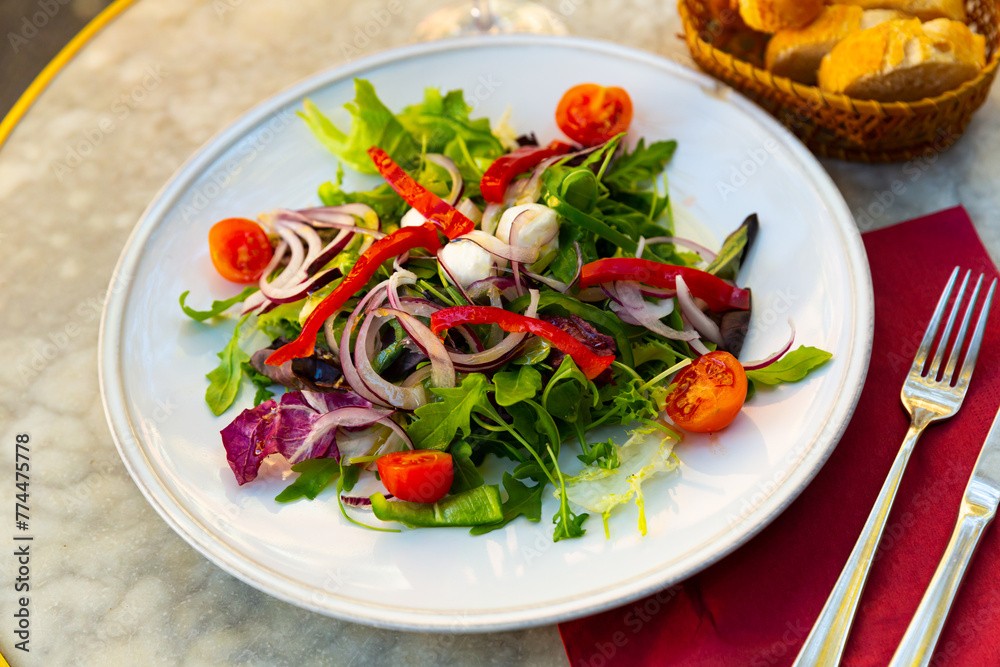 Refreshing salad with greens, tomatoes, bell pepper, onion and mozzarella
