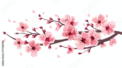 Sakura flowers. traditional symbol of spring in jap