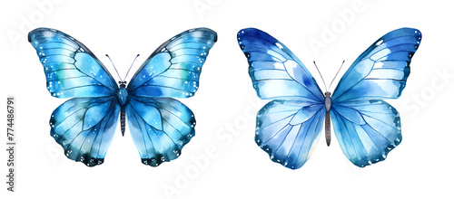 Butterfly, watercolor clipart illustration with isolated background. © NightCreativity