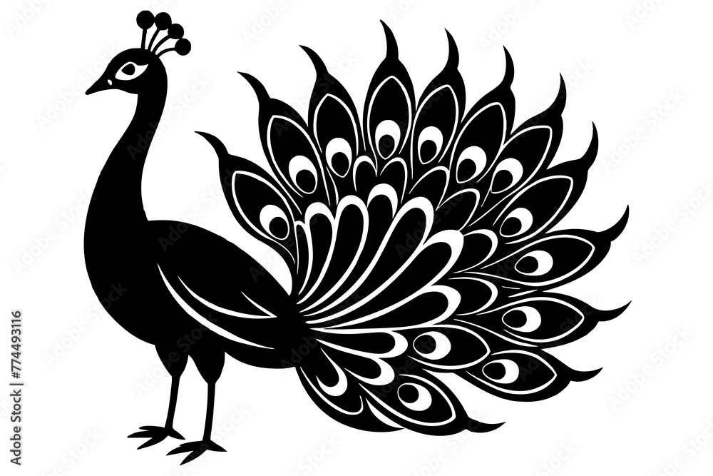 Fototapeta premium peacock with feathers
