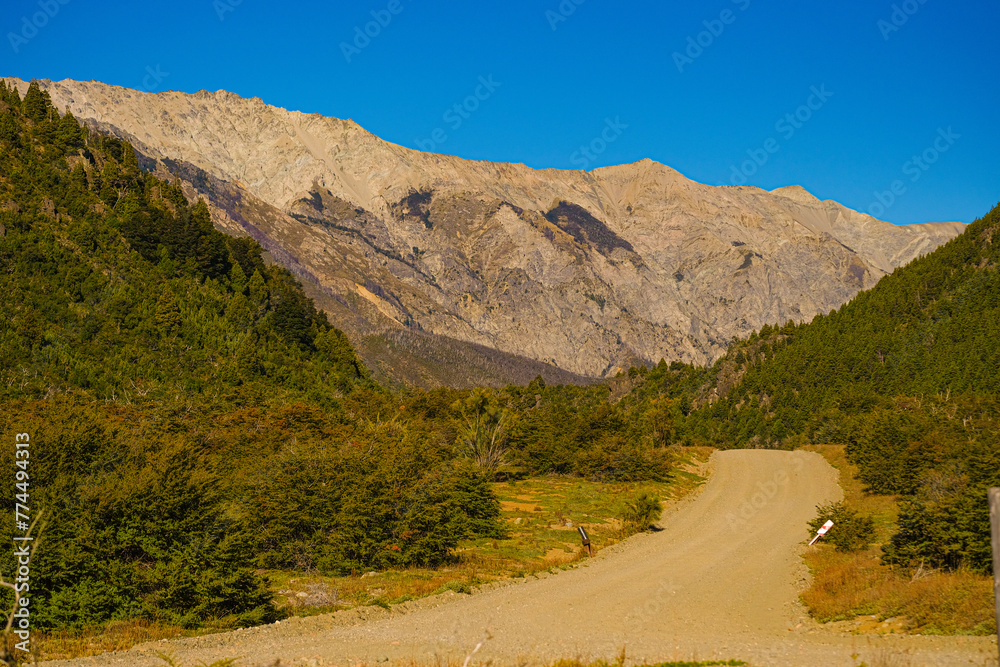 Gravel road, pine forest and rocky mountain in the background on Route 40 Patagonia, Argentina.