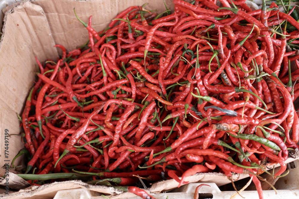 Fototapeta premium Pile of fresh curly red chilies in a basket, at a traditional market, stock photo. 