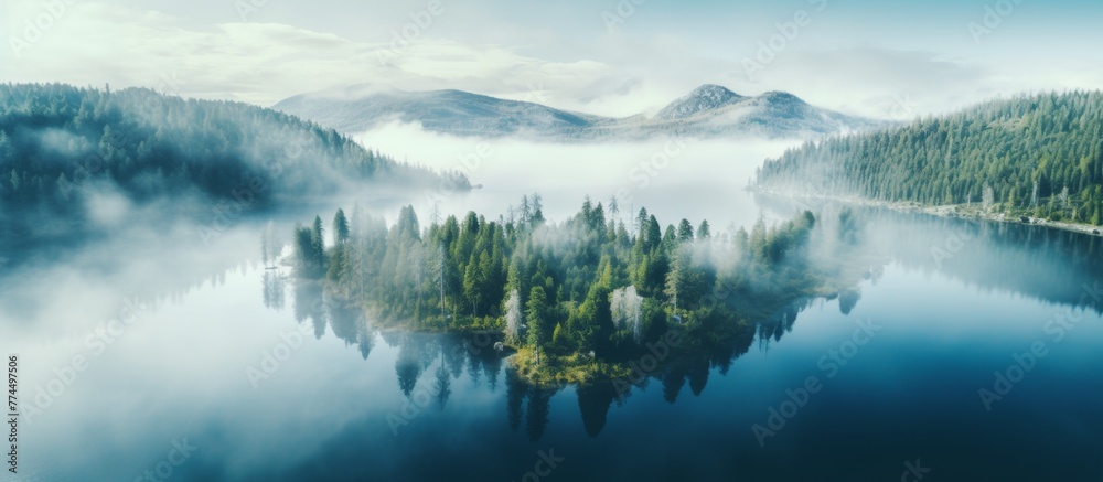 Tranquil lake surrounded by lush trees engulfed in a mysterious fog, creating a serene and calming atmosphere