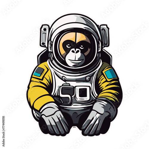 Simios astronautas