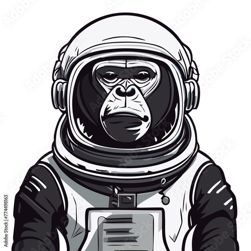 Simios astronautas