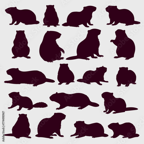groundhog silhouette collection design photo